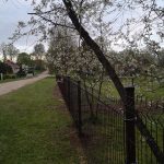 Žogu uzstādīšana Rīgā, Latvijā