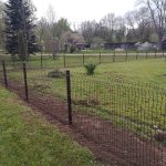 Žogu uzstādīšana Rīgā, Latvijā