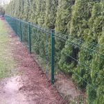 Žogu uzstādīšana Rīgā, Latvijā