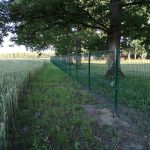 Žogu uzstādīšana Rīgā, Latvijā