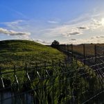 Žogu uzstādīšana Rīgā, Latvijā
