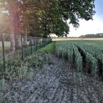Žogu uzstādīšana Rīgā, Latvijā