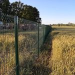 Žogu uzstādīšana Rīgā, Latvijā