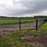Žogu uzstādīšana Rīgā, Latvijā
