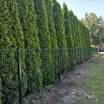 Žogu uzstādīšana Rīgā, Latvijā